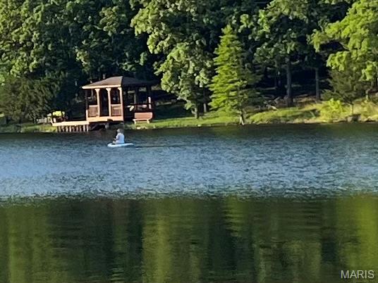 5031 Port Perry Drive Perryville, MO 63775 - Photo 19 of 19