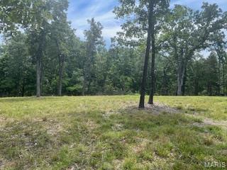 5031 Port Perry Drive Perryville, MO 63775 - Photo 3 of 19