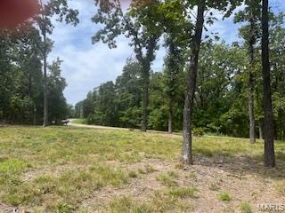 5031 Port Perry Drive Perryville, MO 63775 - Photo 4 of 19