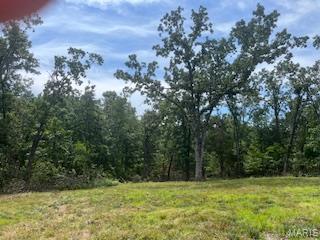 5031 Port Perry Drive Perryville, MO 63775 - Photo 5 of 19