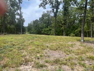 5031 Port Perry Drive Perryville, MO 63775 - Photo 6 of 19