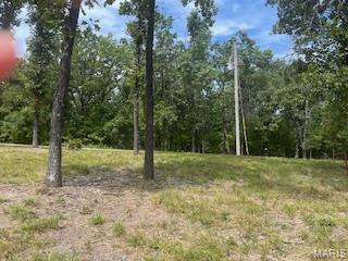 5031 Port Perry Drive Perryville, MO 63775 - Photo 7 of 19