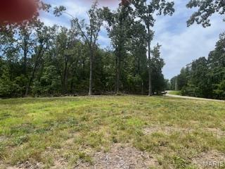 5031 Port Perry Drive Perryville, MO 63775 - Photo 8 of 19