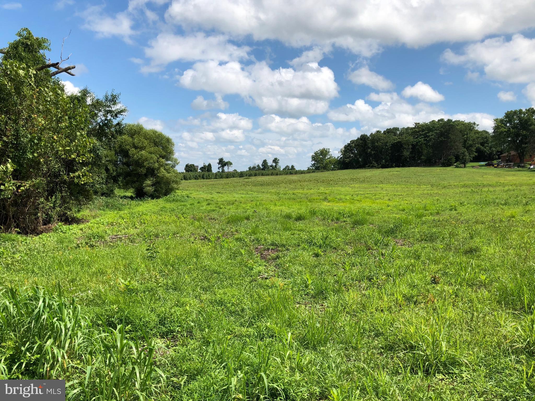 0 Newvalley Church Road Leesburg, VA 20176 - Photo 9 of 12 Open land (2018)