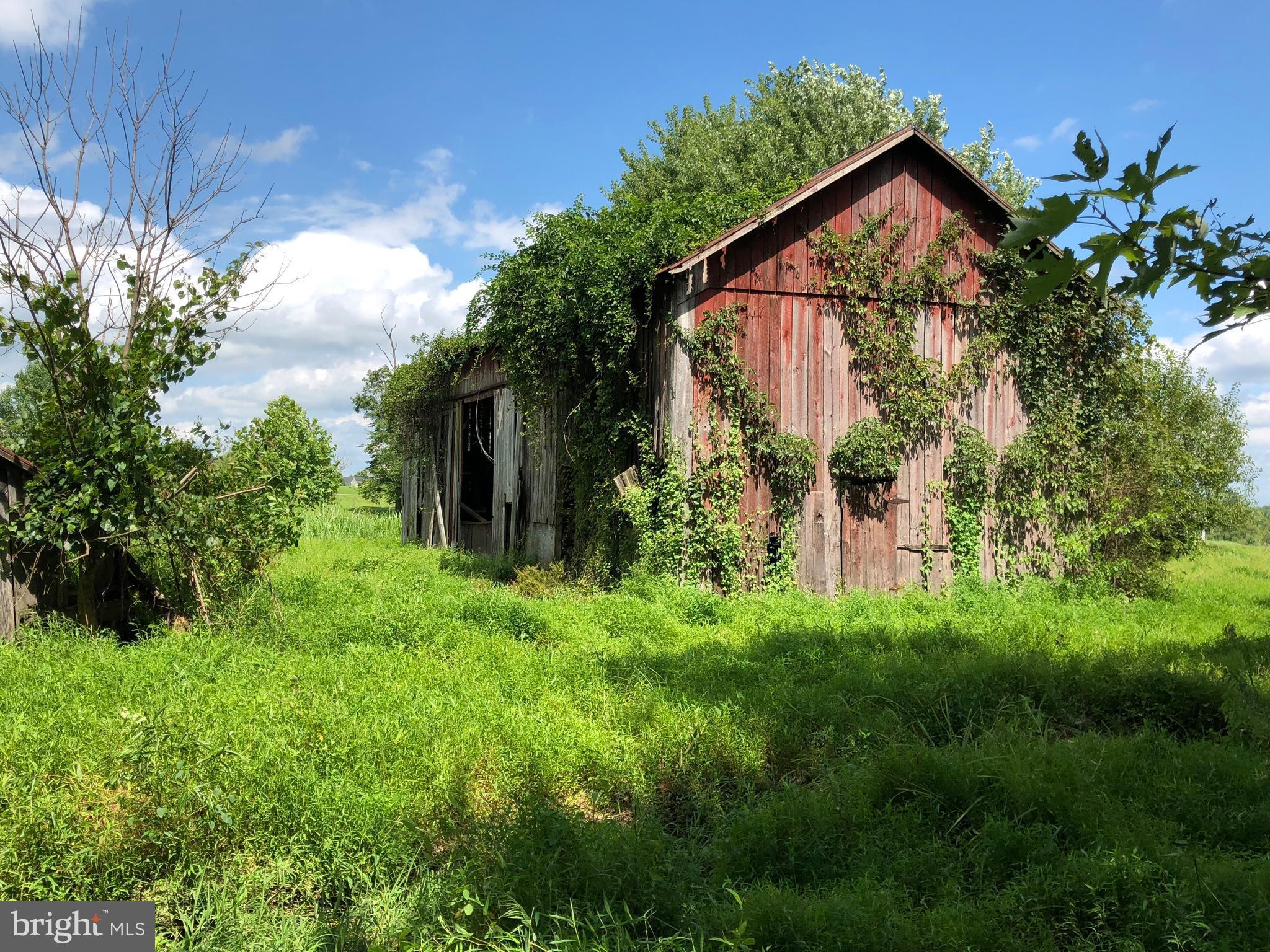 0 Newvalley Church Road Leesburg, VA 20176 - Photo 10 of 12 Barn (2018)