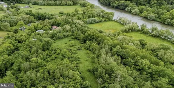 a view of a lush green forest with lots of trees