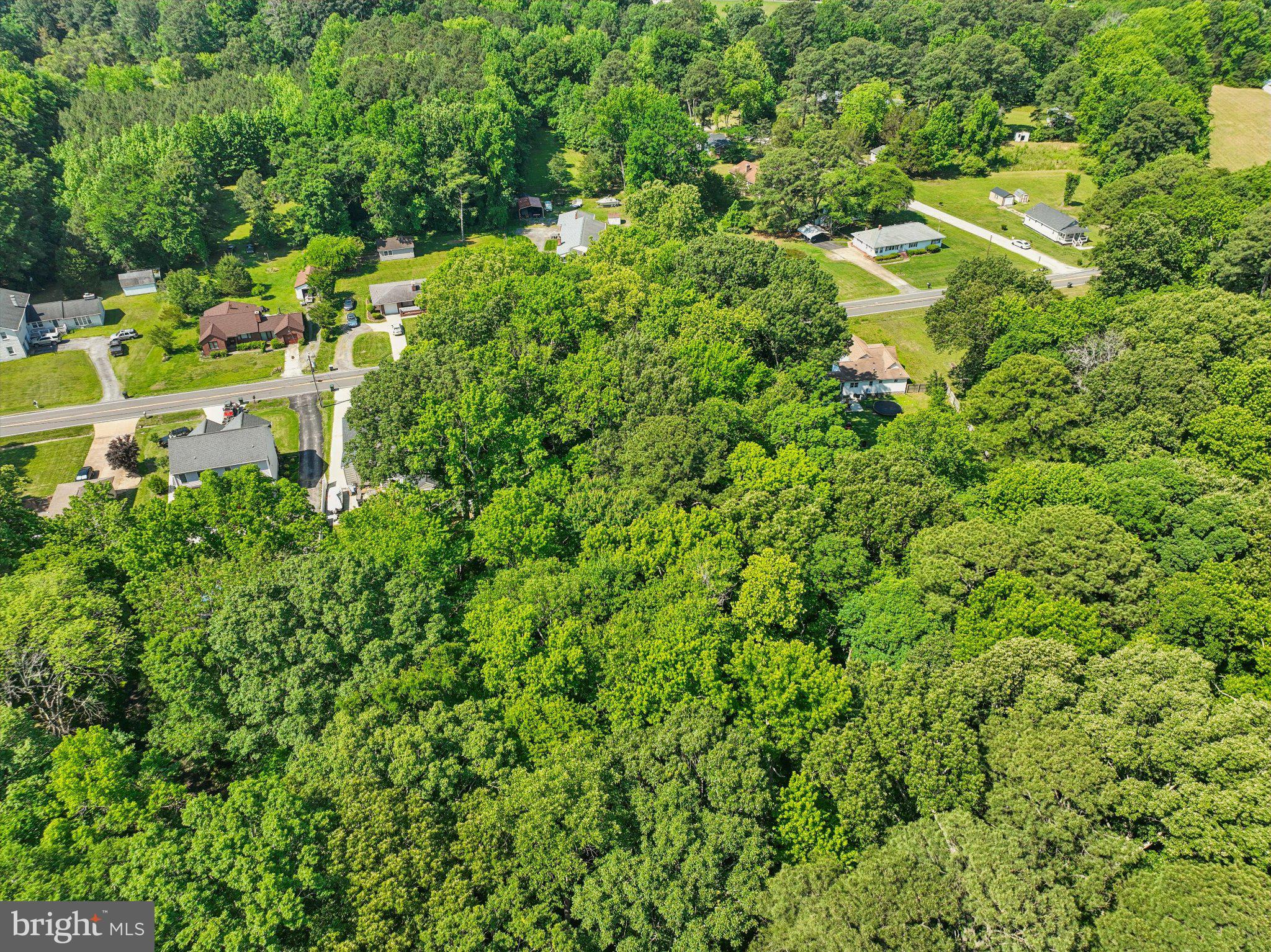 500-508 Carys Chapel Road Yorktown, VA 23693 - Photo 6 of 18 a view of a house with a lush green forest
