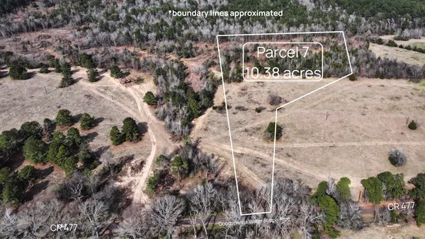 a view of a shaded area in a backyard