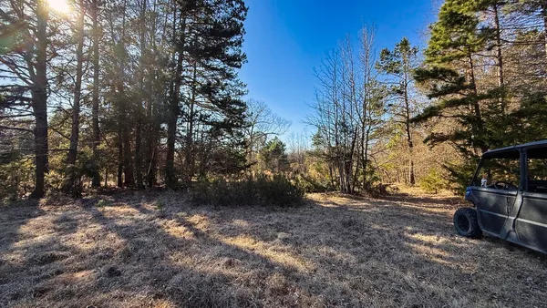 a view of outdoor space with lots of trees