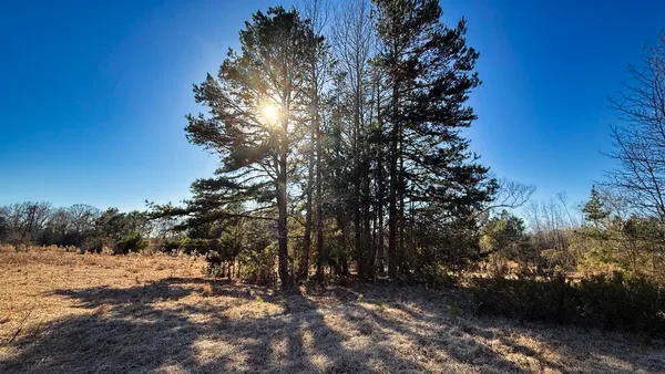 a view of backyard of the house
