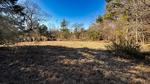 a view of a yard with wooden fence