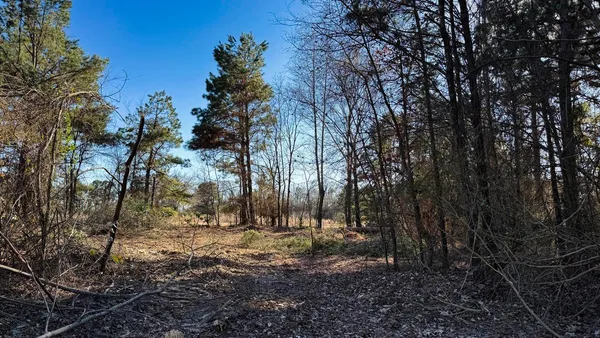 a view of outdoor space with trees