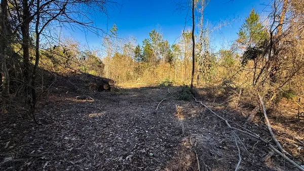 a view of a snow with trees in the background