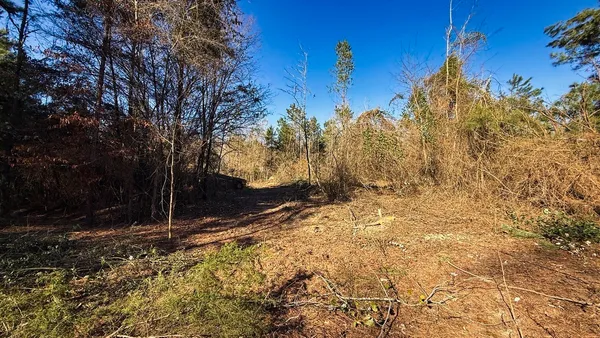 a view of snow on the side of a road