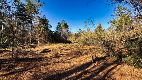 a view of yard covered with snow in front of house