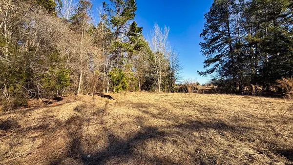 a view of large yard with large trees
