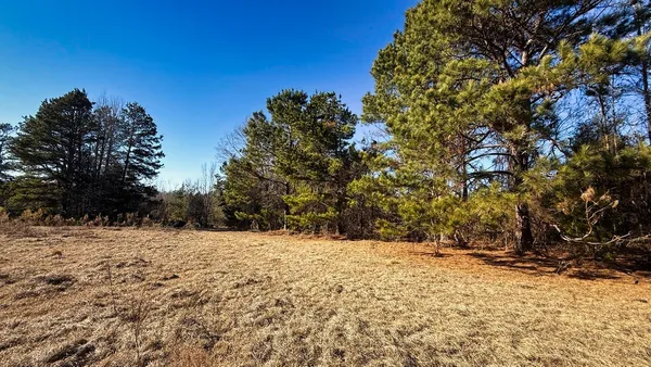 a view of a yard with a tree