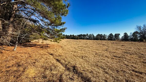 a view of outdoor space and trees