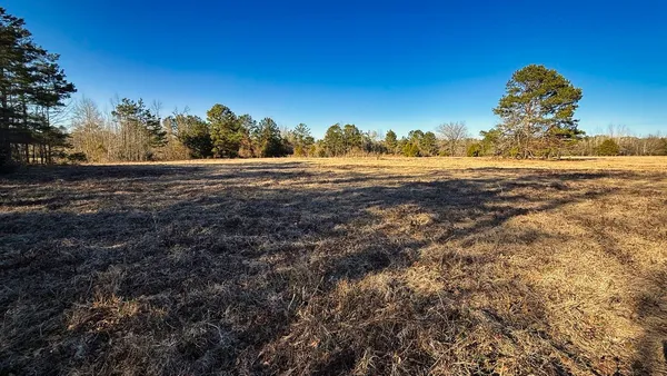 a view of a tiny house with a yard