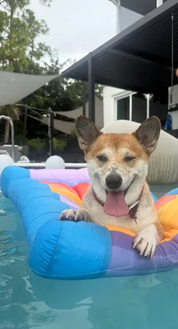 $50,000 | 377 Squire Drive, Wellington, FL 33414