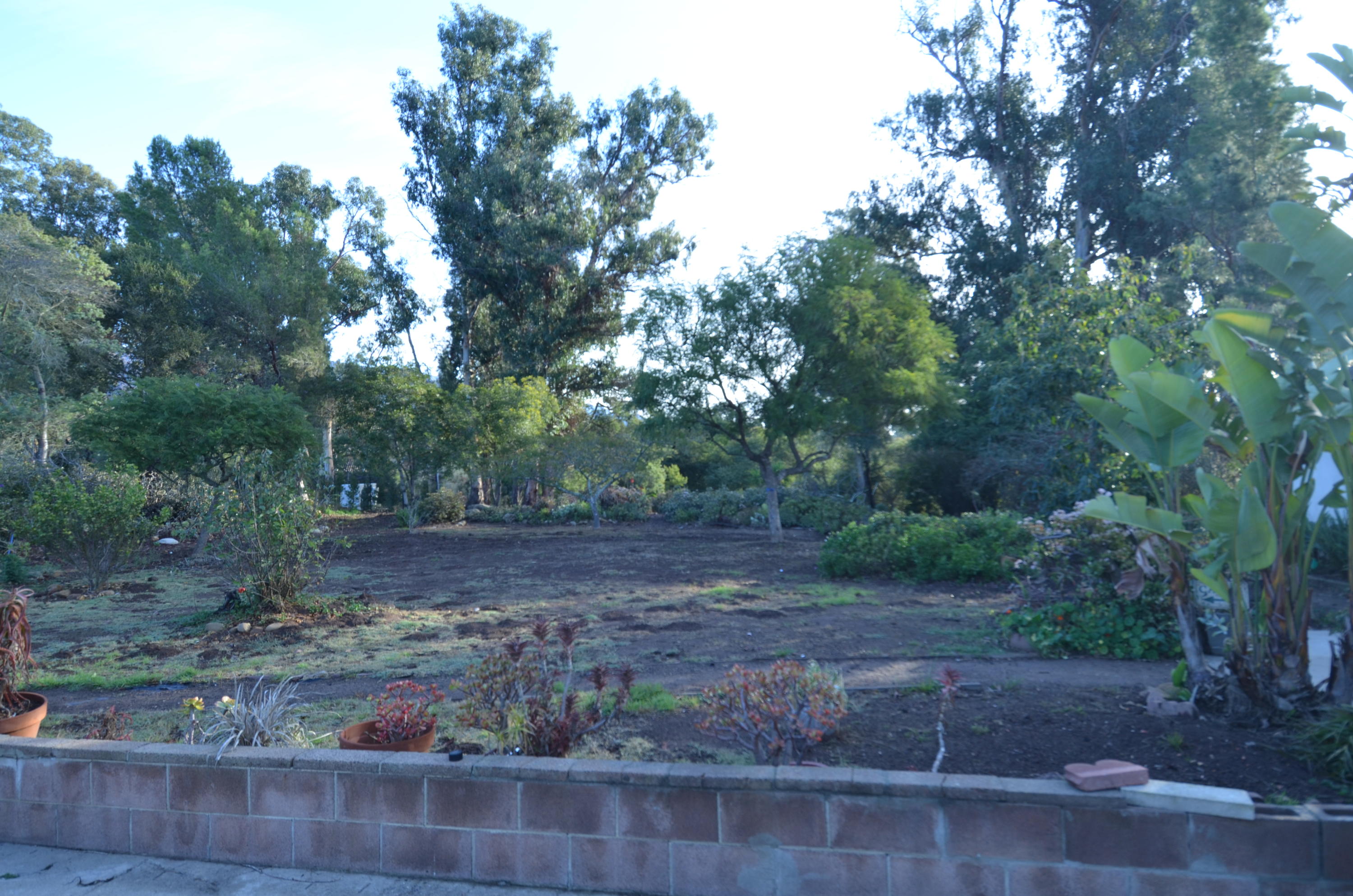 1409 School House Road Montecito, CA 93108 - Photo 5 of 5 a view of a yard with large trees
