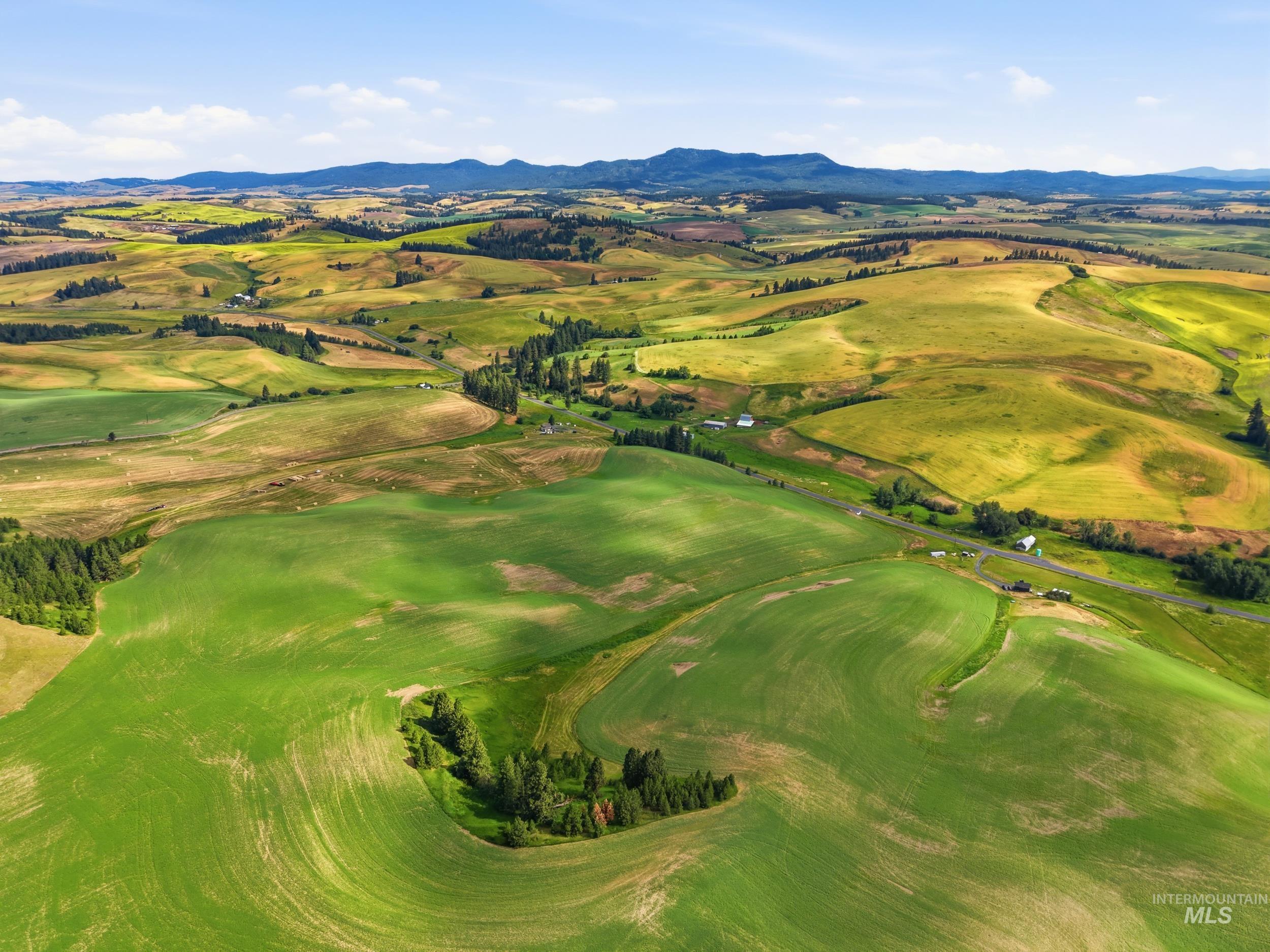 Tbd Tbd Lenville Road Moscow, ID 83843 - Photo 7 of 13 Gallery Image 7