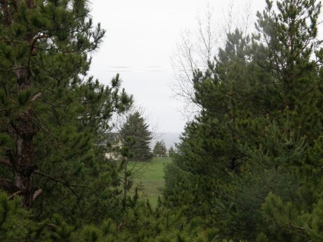 2499 Red Apple Road Manistee, MI 49660 - Photo 11 of 13 Additional Photo