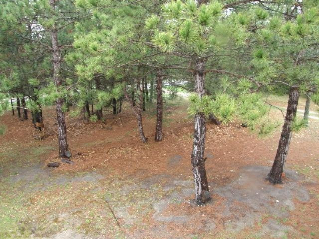 2499 Red Apple Road Manistee, MI 49660 - Photo 12 of 13 Additional Photo