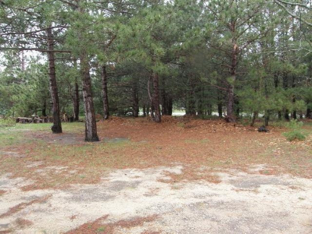 2499 Red Apple Road Manistee, MI 49660 - Photo 13 of 13 Additional Photo