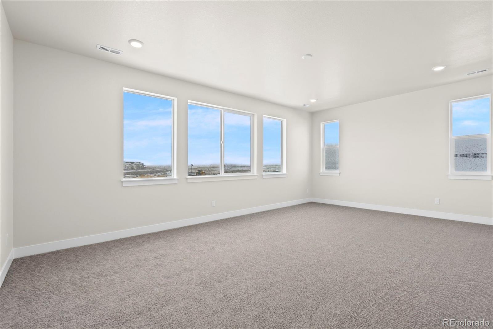 1295 Weller Street Timnath, CO 80547 - Photo 13 of 15