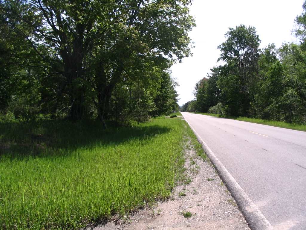 11146 Johnson Road Brethren, MI 49619 - Photo 58 of 60 1800705-57.JPG