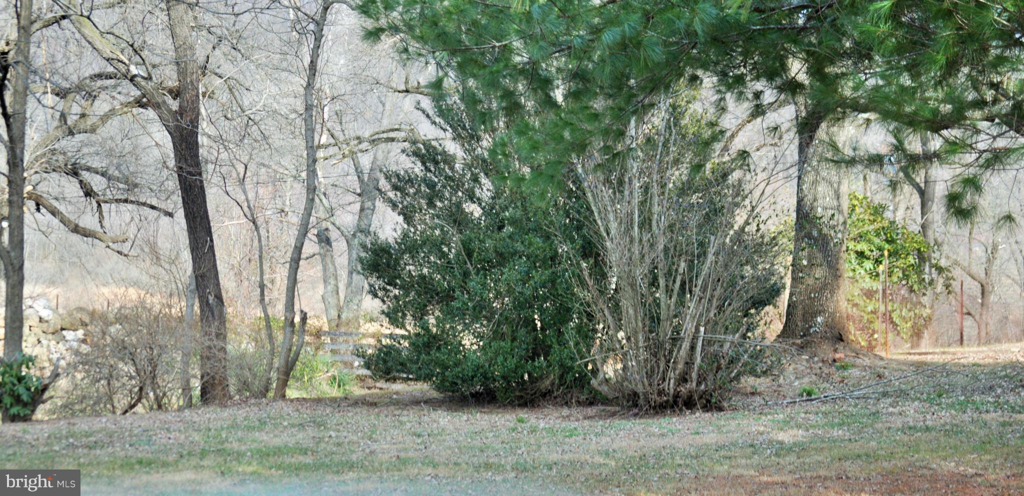 190 Fodderstack Road Washington, VA 22747 - Photo 3 of 5 View