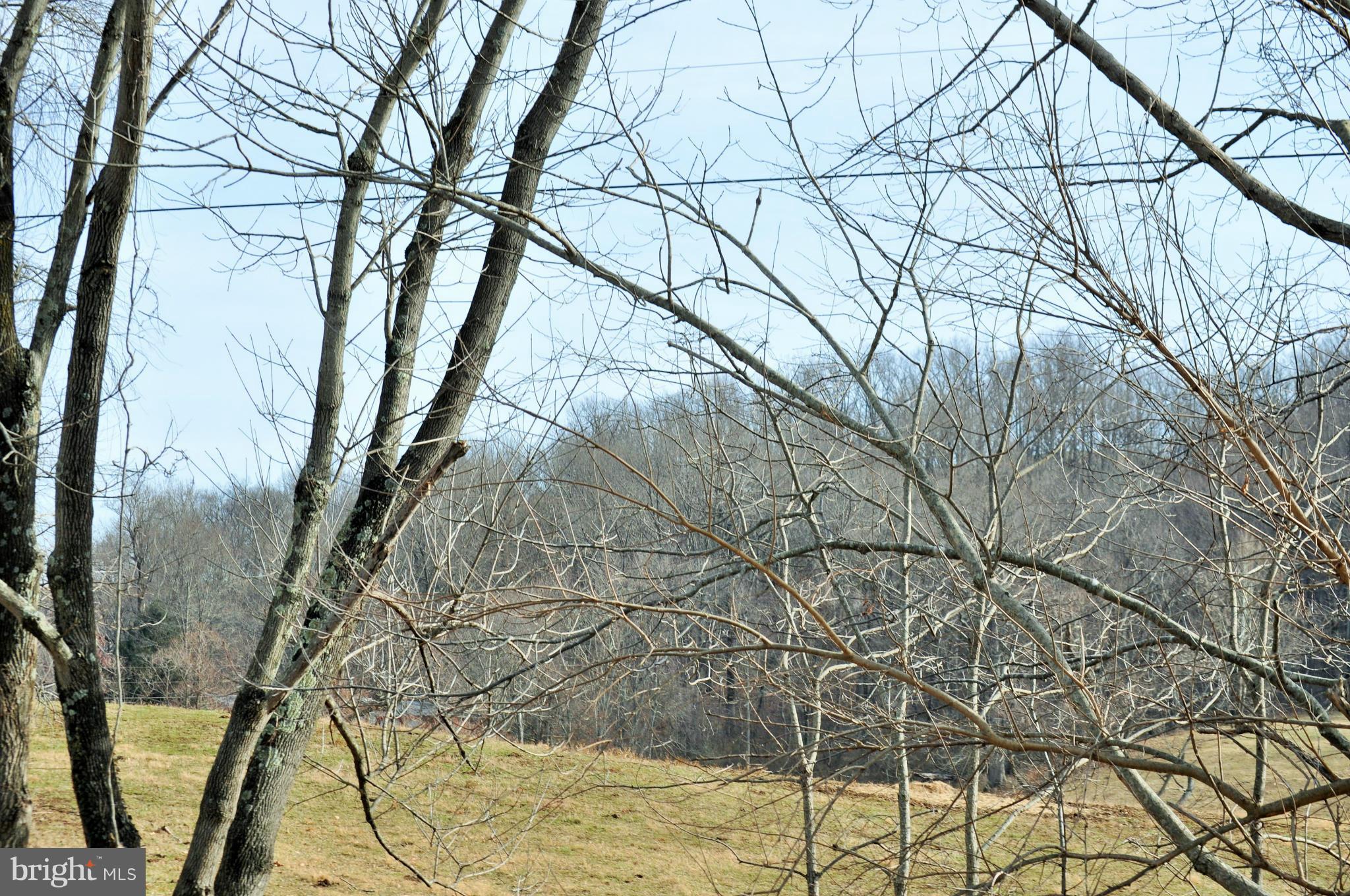 190 Fodderstack Road Washington, VA 22747 - Photo 4 of 5 View