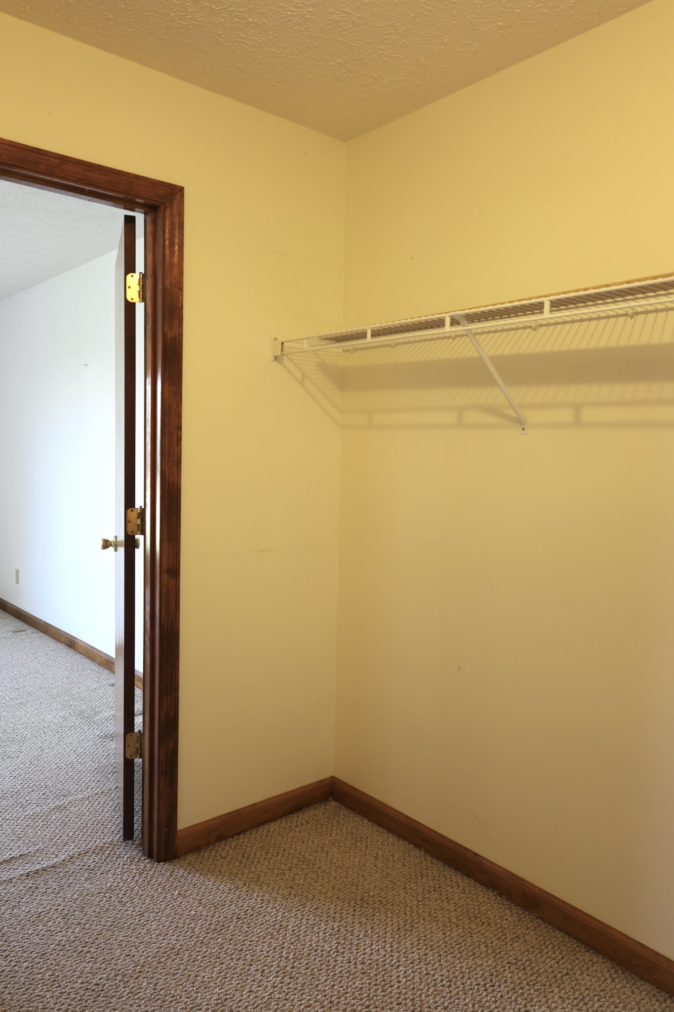 5787 Buzzard Creek Road Cedar Hill, TN 37032 - Photo 34 of 58