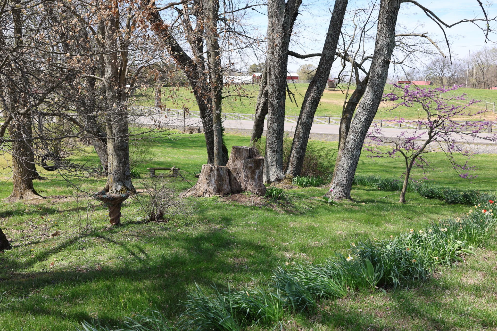 5787 Buzzard Creek Road Cedar Hill, TN 37032 - Photo 51 of 58