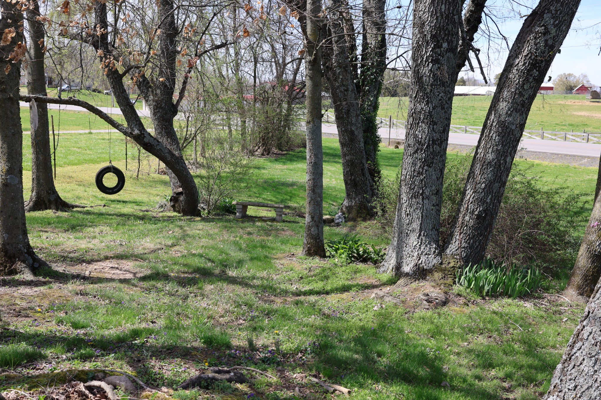 5787 Buzzard Creek Road Cedar Hill, TN 37032 - Photo 52 of 58