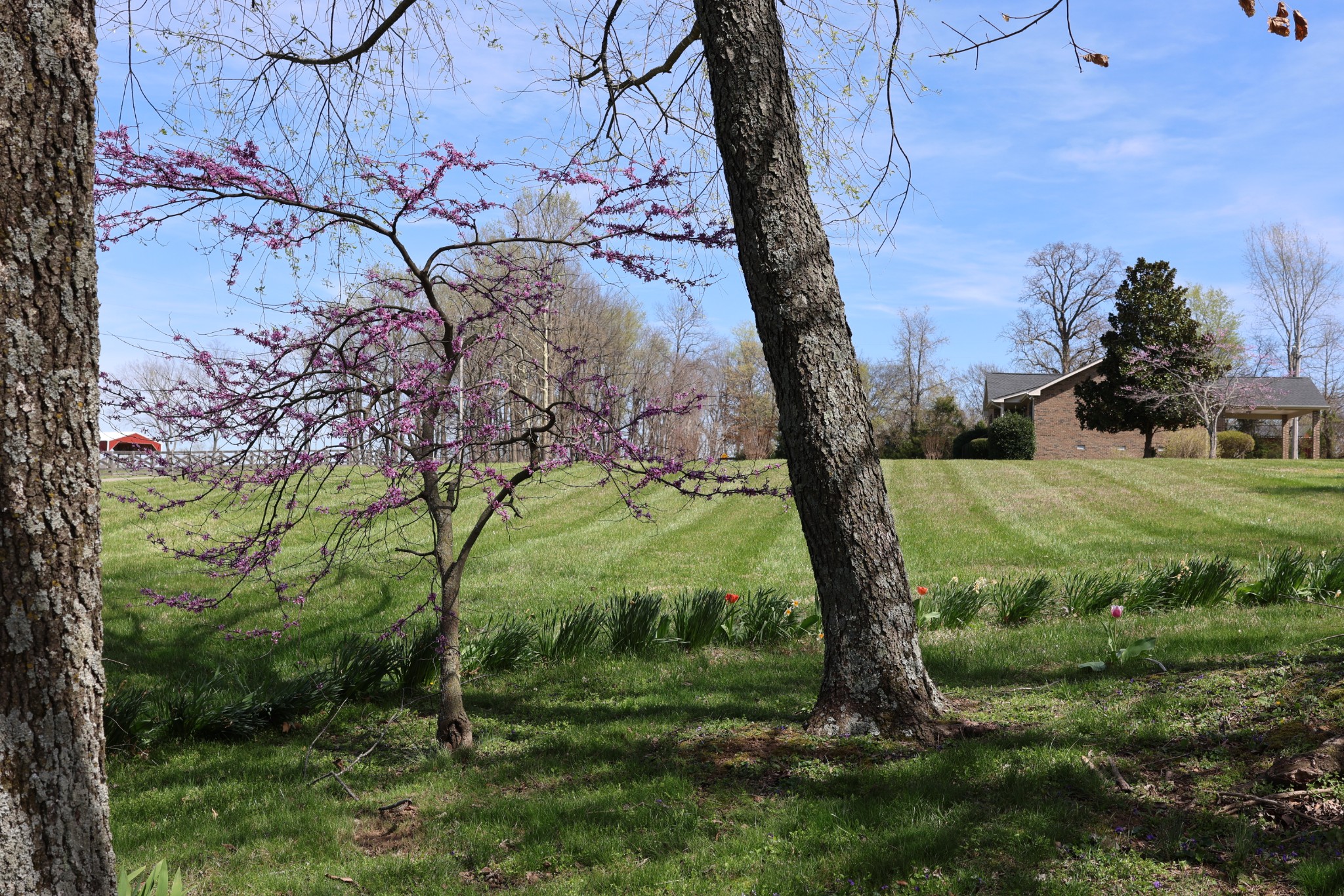 5787 Buzzard Creek Road Cedar Hill, TN 37032 - Photo 53 of 58