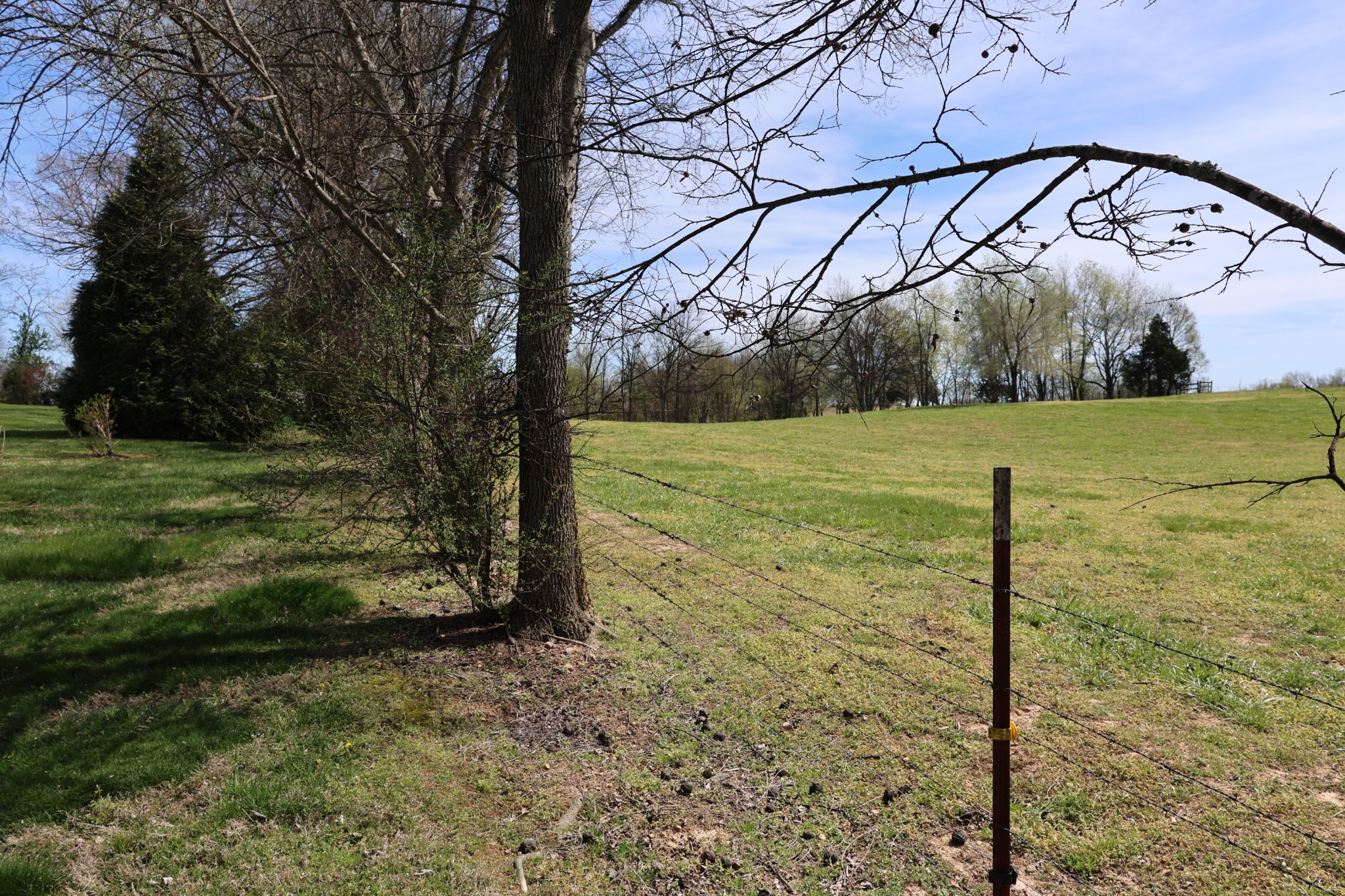 5787 Buzzard Creek Road Cedar Hill, TN 37032 - Photo 54 of 58