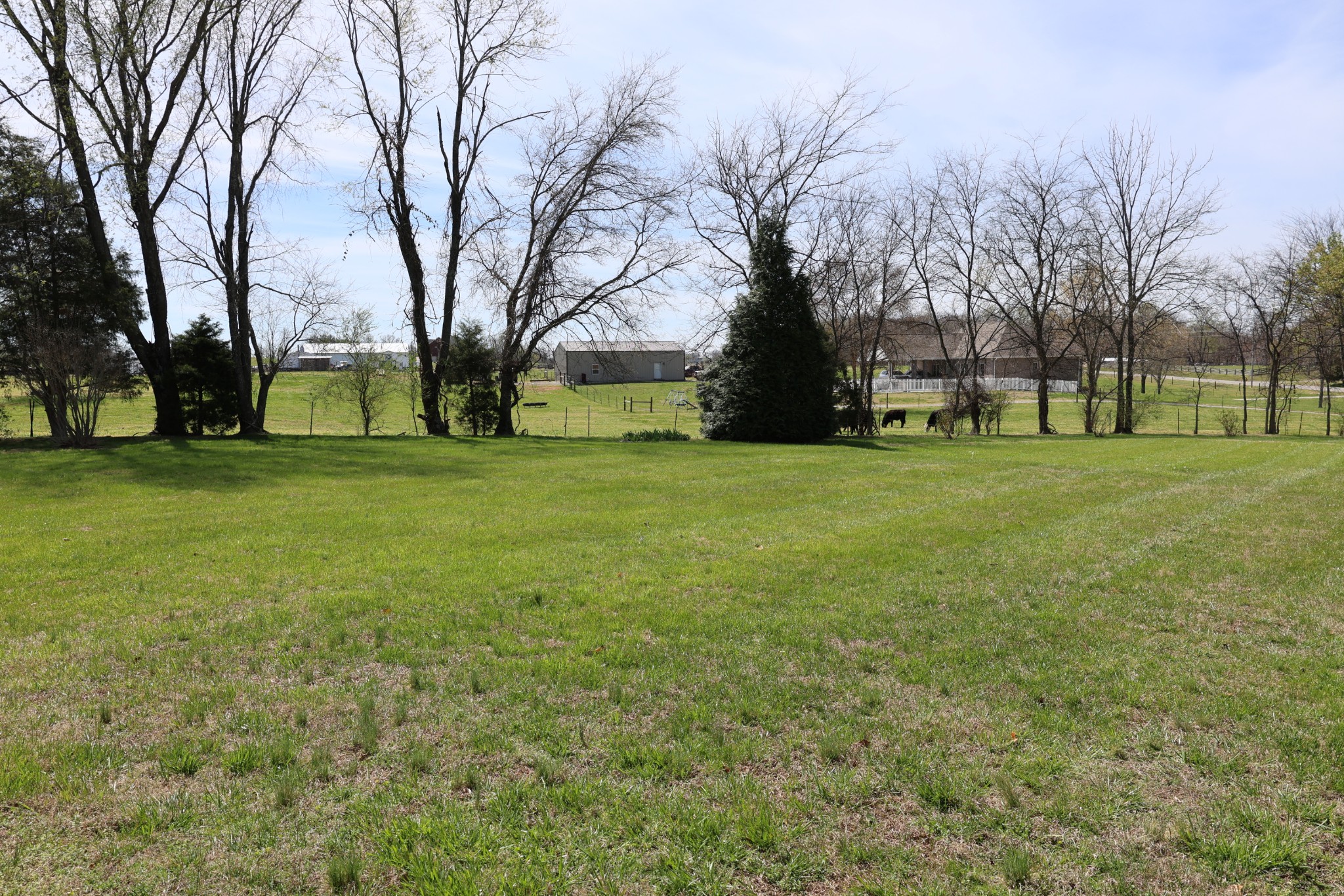 5787 Buzzard Creek Road Cedar Hill, TN 37032 - Photo 6 of 58