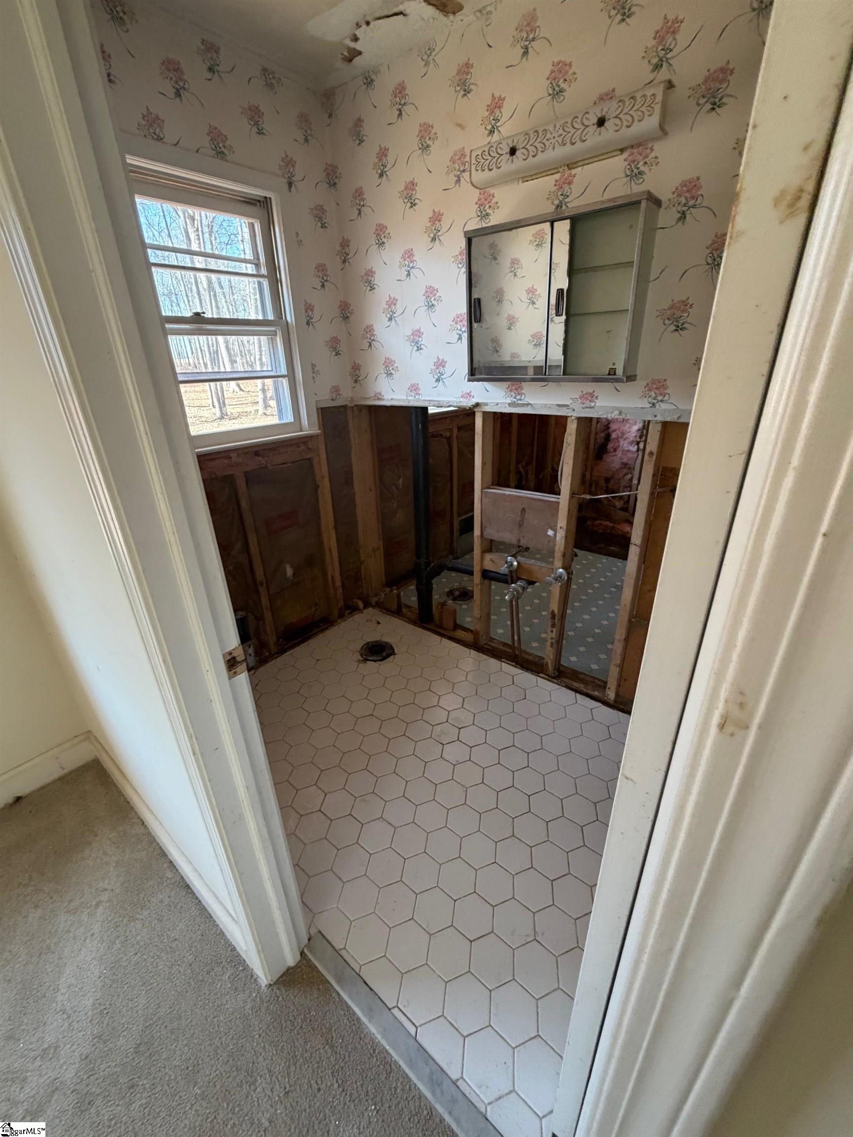 0 Berry Road Pelzer, SC 29669 - Photo 18 of 27