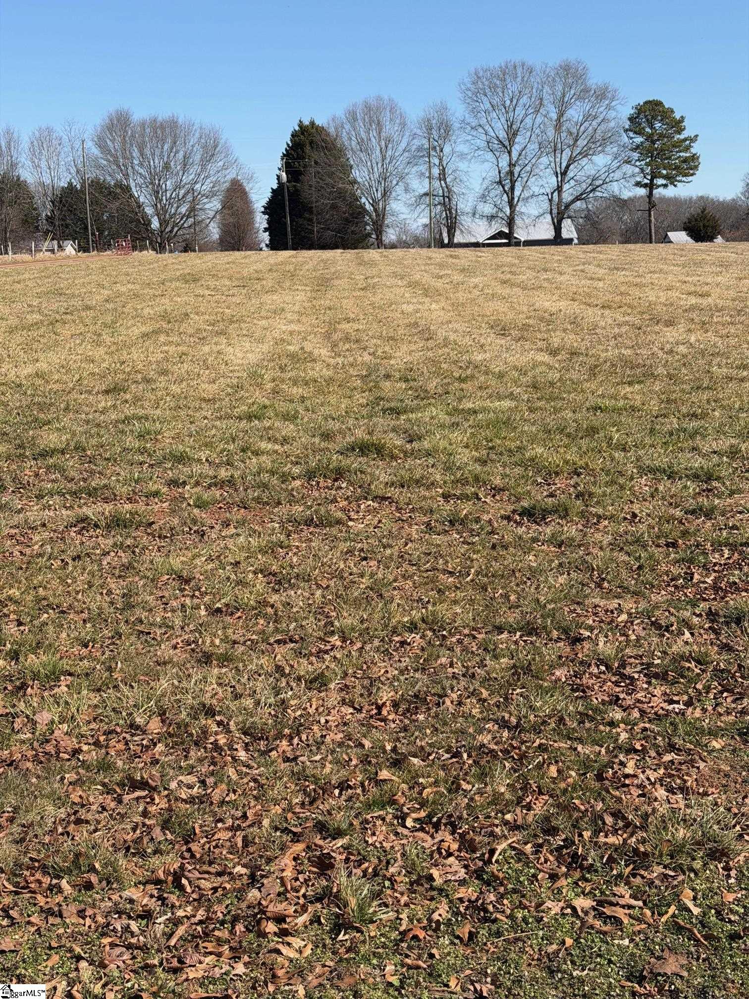 0 Berry Road Pelzer, SC 29669 - Photo 6 of 27