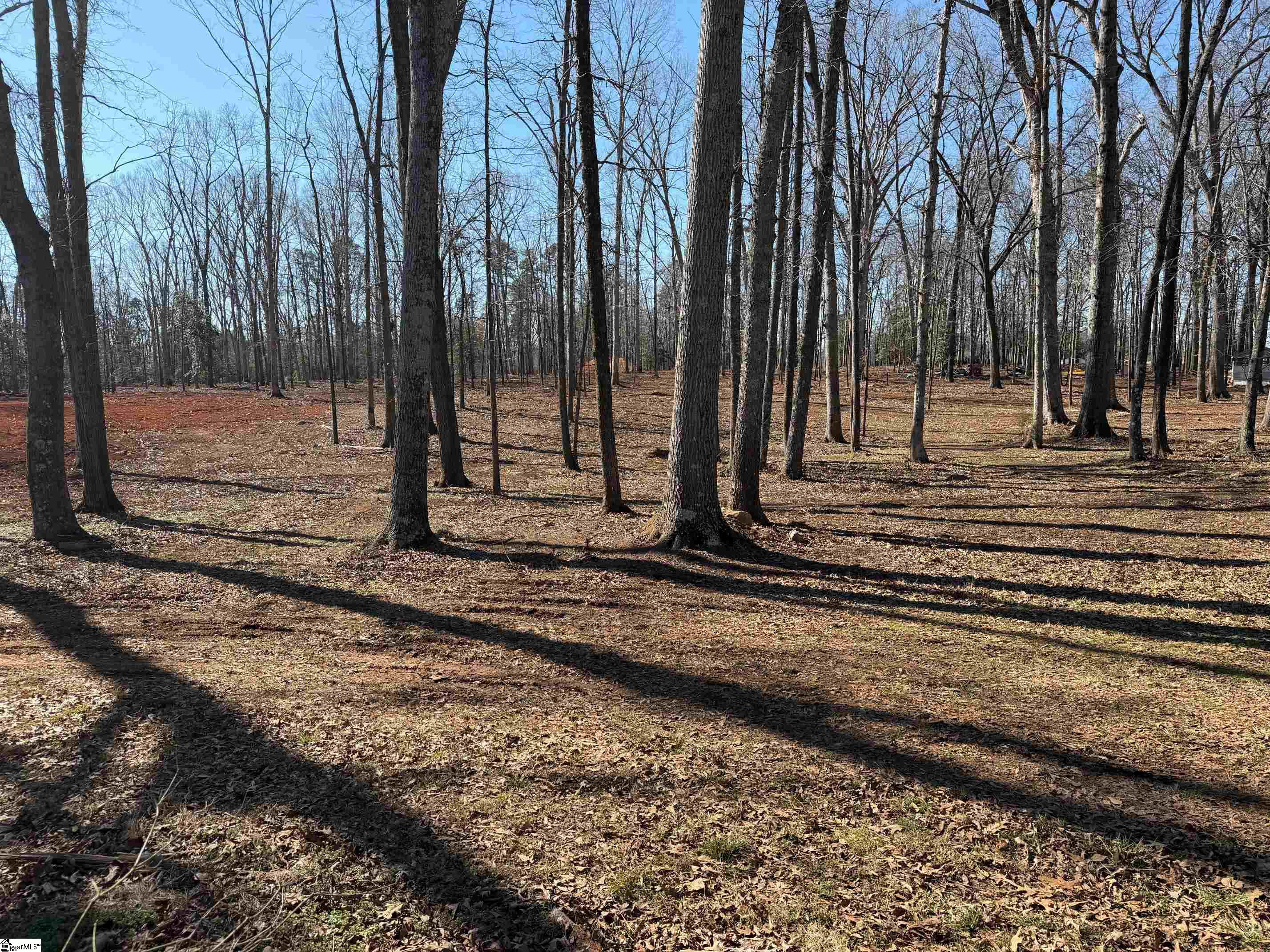 0 Berry Road Pelzer, SC 29669 - Photo 8 of 27