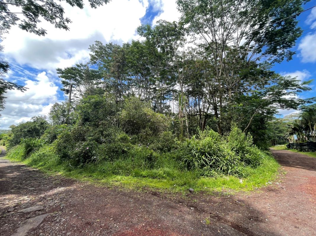 Lot 1 King Kamehameha Blvd  