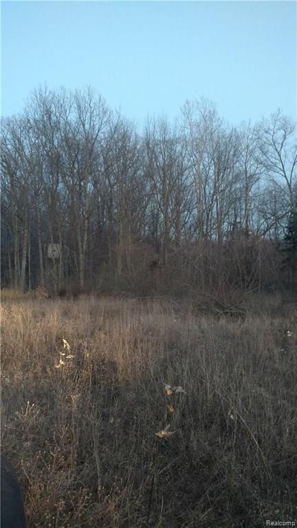 15429 Seymour Road Linden, MI 48451 - Photo 2 of 4 Gallery Image 2