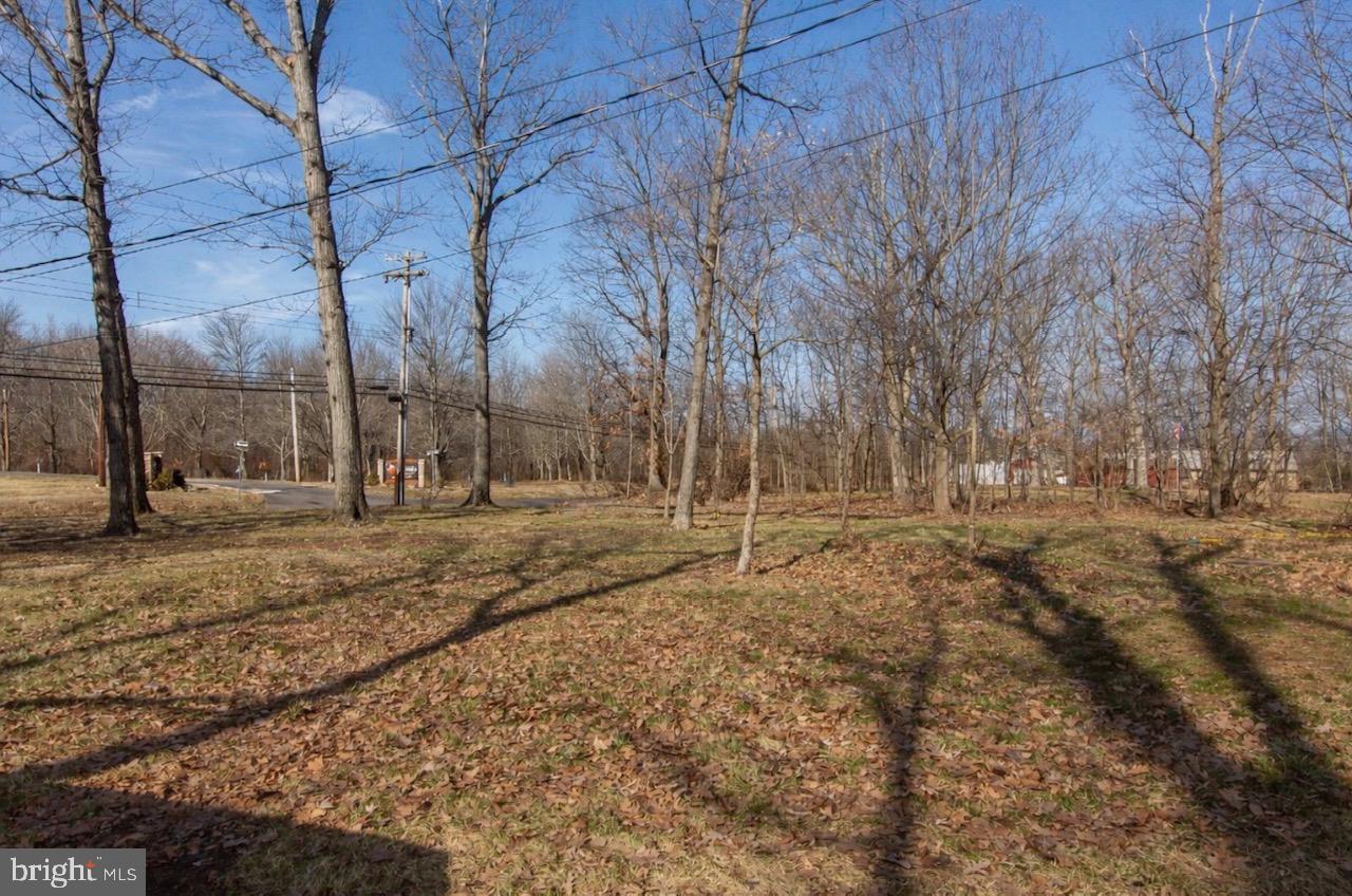 2947 Potshop Road Norristown, PA 19403 - Photo 33 of 41 a view of a yard with trees