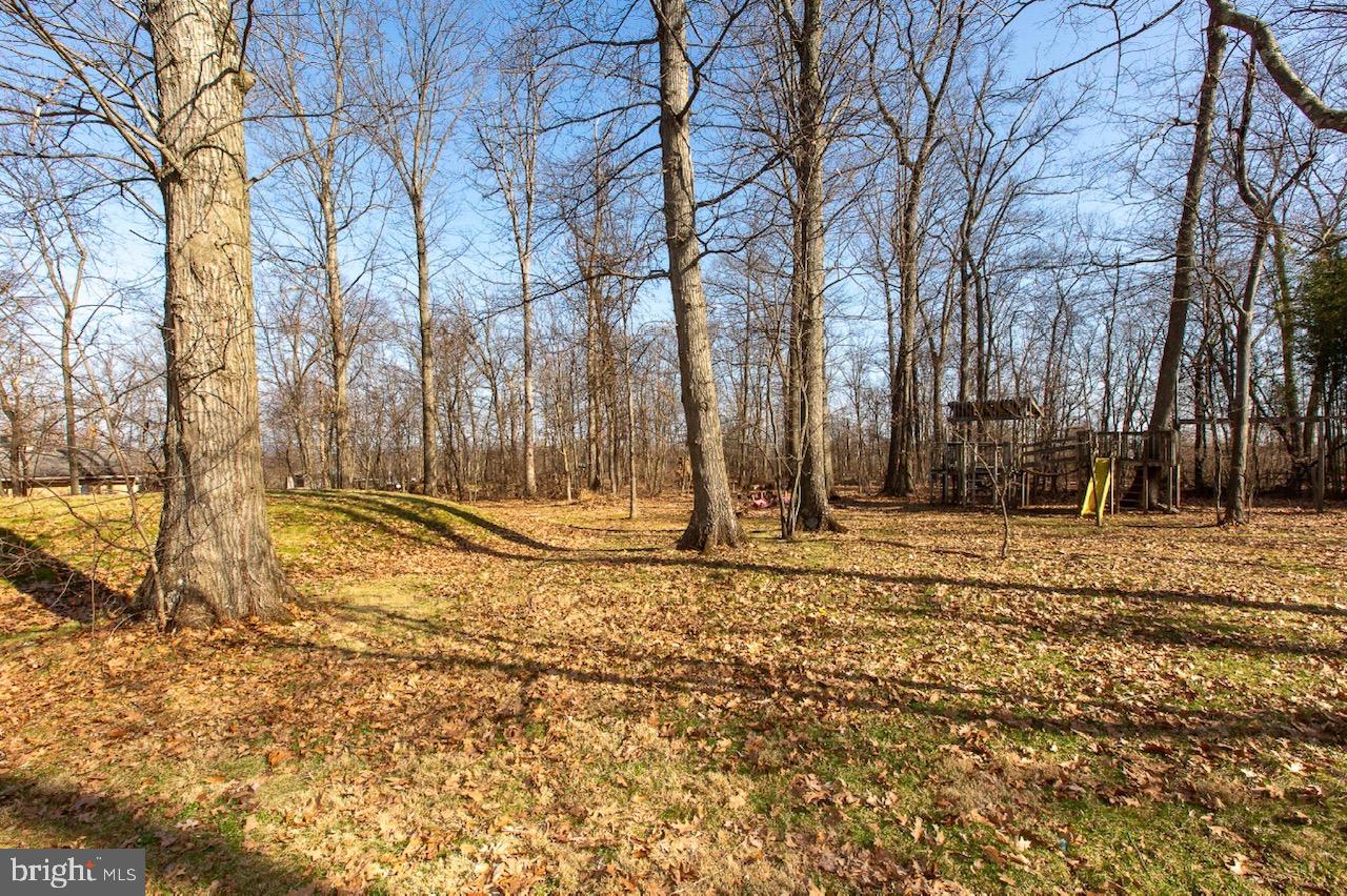 2947 Potshop Road Norristown, PA 19403 - Photo 34 of 41 a view of a yard covered with snow