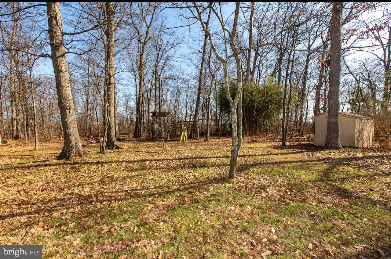 2947 Potshop Road Norristown, PA 19403 - Photo 35 of 41 a backyard of house with trees