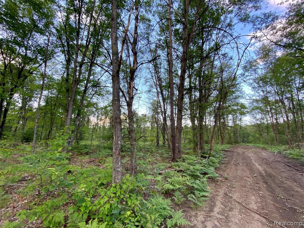 2800 West Maple Grove Road Farwell, MI 48622 - Photo 41 of 47 Gallery Image 41