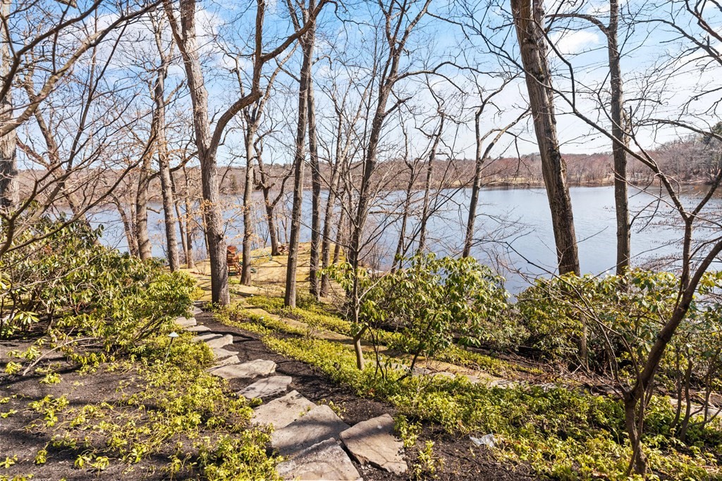 32 Everett Avenue Winchester, MA 01890 - Photo 40 of 42 a backyard of a house with lots of green space