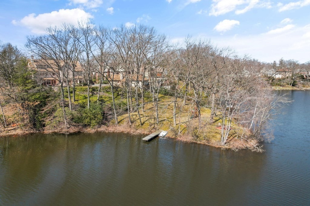 32 Everett Avenue Winchester, MA 01890 - Photo 42 of 42 a view of lake with green space